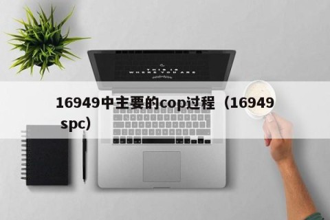 16949中主要的cop过程（16949 spc）
