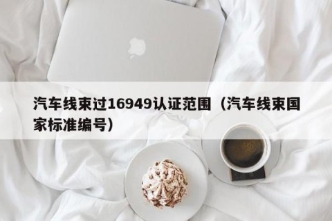 汽车线束过16949认证范围（汽车线束国家标准编号）