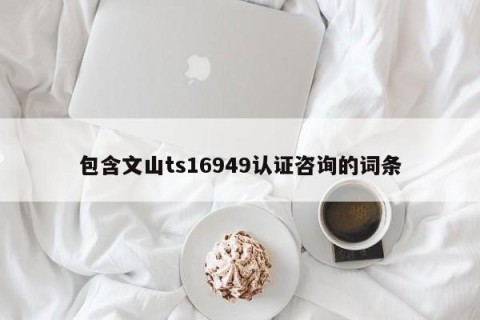 包含文山ts16949认证咨询的词条