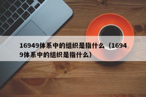 16949体系中的组织是指什么（16949体系中的组织是指什么）