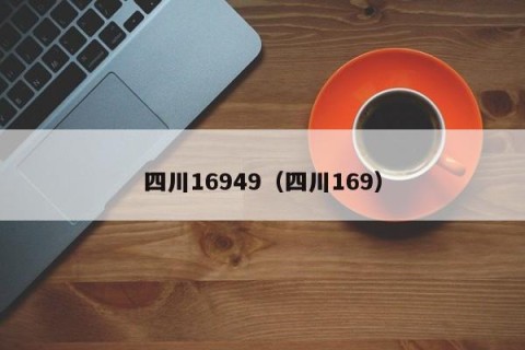 四川16949（四川169）
