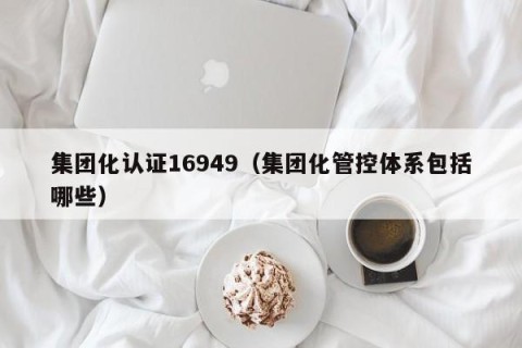 集团化认证16949（集团化管控体系包括哪些）