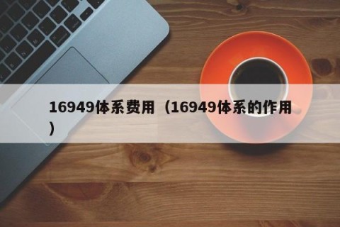 16949体系费用（16949体系的作用）